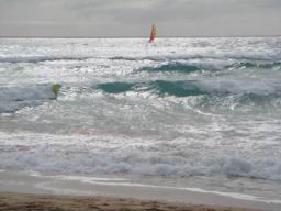 Resize of DSC02590.JPG